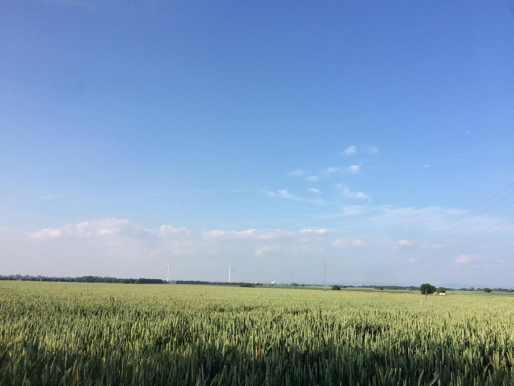 阿尔特黑曼特公寓 Schwegenheim 外观 照片