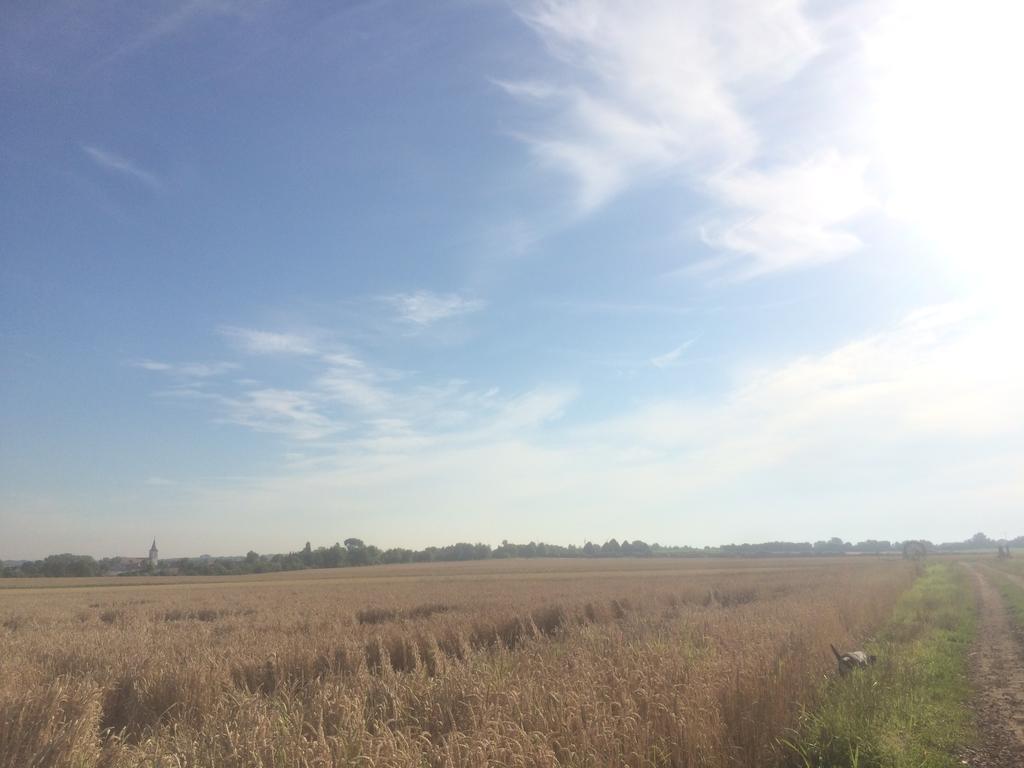 阿尔特黑曼特公寓 Schwegenheim 外观 照片