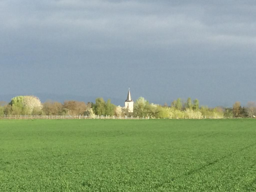 阿尔特黑曼特公寓 Schwegenheim 外观 照片