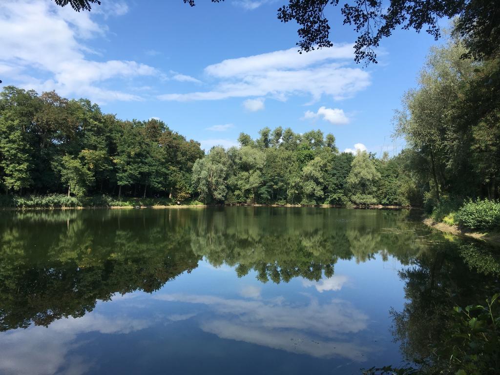 阿尔特黑曼特公寓 Schwegenheim 外观 照片